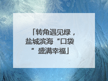 转角遇见绿，盐城滨海“口袋”盛满幸福