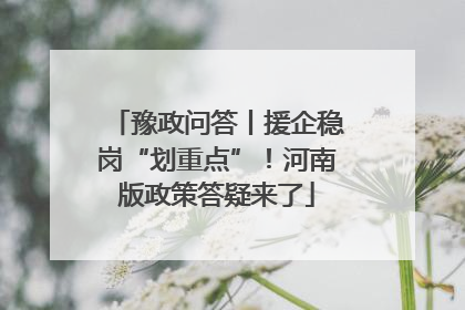 豫政问答丨援企稳岗“划重点”！河南版政策答疑来了