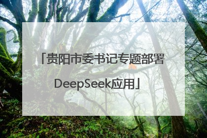 贵阳市委书记专题部署DeepSeek应用