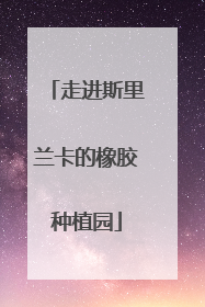 走进斯里兰卡的橡胶种植园