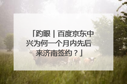 趵眼｜百度京东中兴为何一个月内先后来济南签约？