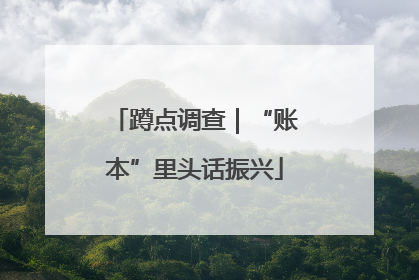 蹲点调查｜“账本”里头话振兴