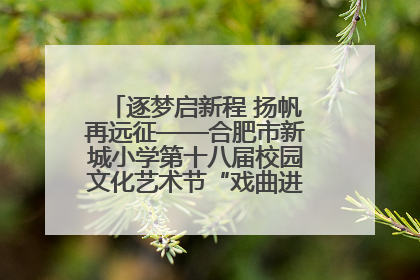 逐梦启新程 扬帆再远征——合肥市新城小学第十八届校园文化艺术节“戏曲进校园专场演出”