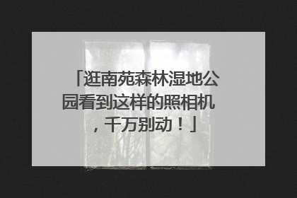 逛南苑森林湿地公园看到这样的照相机，千万别动！