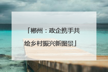 郴州：政企携手共绘乡村振兴新图景