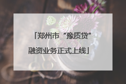 郑州市“豫质贷”融资业务正式上线