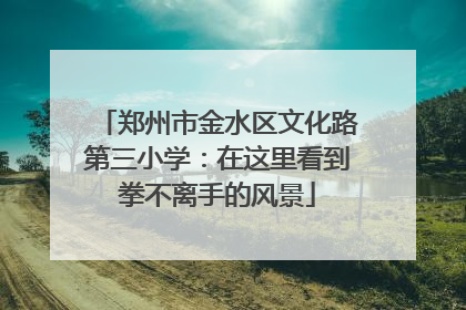 郑州市金水区文化路第三小学：在这里看到拳不离手的风景
