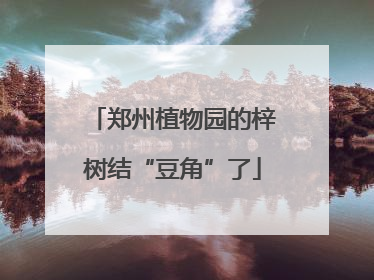 郑州植物园的梓树结“豆角”了