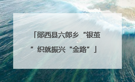 郧西县六郎乡“银茧”织就振兴“金路”