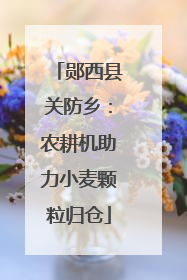 郧西县关防乡：农耕机助力小麦颗粒归仓