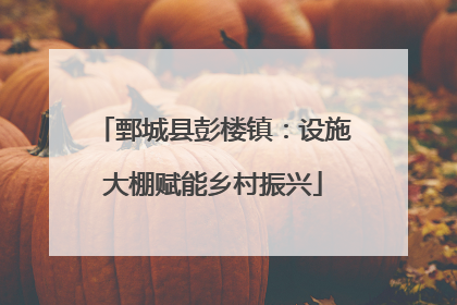 鄄城县彭楼镇：设施大棚赋能乡村振兴