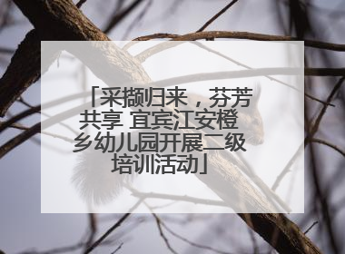 采撷归来，芬芳共享 宜宾江安橙乡幼儿园开展二级培训活动