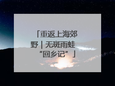 重返上海郊野｜无斑雨蛙“回乡记”