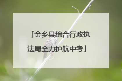 金乡县综合行政执法局全力护航中考
