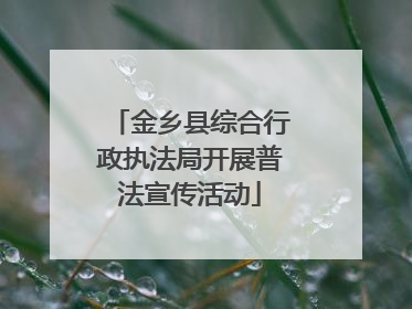 金乡县综合行政执法局开展普法宣传活动