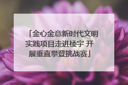 金心金意新时代文明实践项目走进楼宇 开展垂直攀登挑战赛