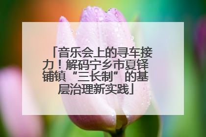 音乐会上的寻车接力！解码宁乡市夏铎铺镇“三长制”的基层治理新实践