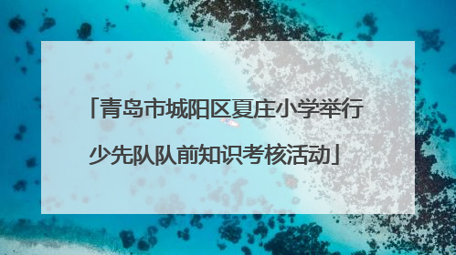 青岛市城阳区夏庄小学举行少先队队前知识考核活动