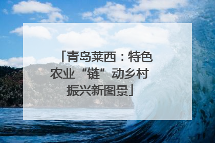青岛莱西：特色农业“链”动乡村振兴新图景