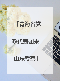 青海省党政代表团来山东考察