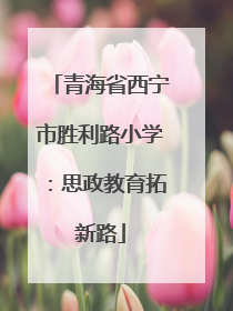 青海省西宁市胜利路小学：思政教育拓新路