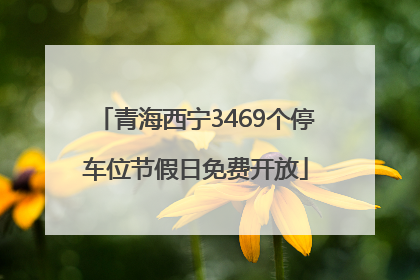 青海西宁3469个停车位节假日免费开放