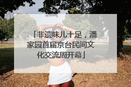 非遗味儿十足，潘家园首届京台民间文化交流周开幕
