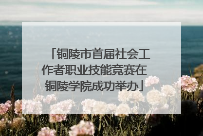 铜陵市首届社会工作者职业技能竞赛在铜陵学院成功举办