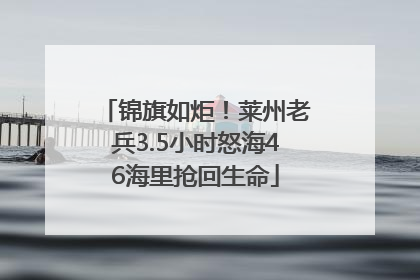 锦旗如炬！莱州老兵3.5小时怒海46海里抢回生命