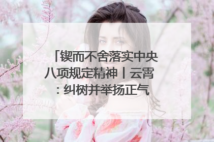 锲而不舍落实中央八项规定精神丨云霄：纠树并举扬正气 作风建设谱新章