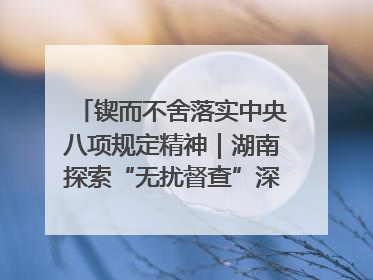 锲而不舍落实中央八项规定精神｜湖南探索“无扰督查”深化基层减负