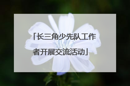 长三角少先队工作者开展交流活动