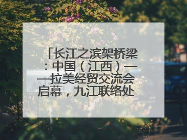 长江之滨架桥梁：中国（江西）——拉美经贸交流会启幕，九江联络处授牌拓商机