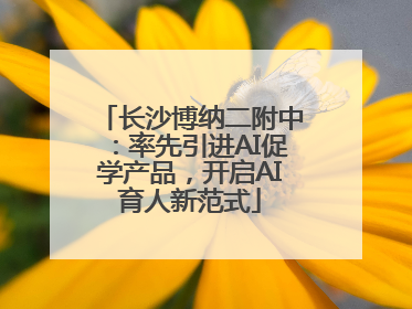 长沙博纳二附中：率先引进AI促学产品，开启AI育人新范式