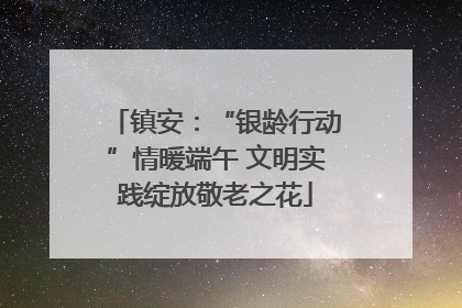 镇安：“银龄行动”情暖端午 文明实践绽放敬老之花