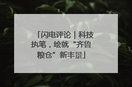 闪电评论｜科技执笔，绘就“齐鲁粮仓”新丰景