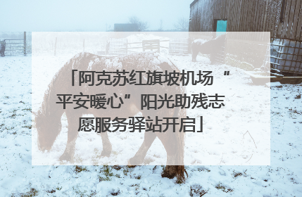 阿克苏红旗坡机场“平安暖心”阳光助残志愿服务驿站开启