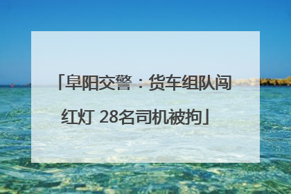 阜阳交警：货车组队闯红灯 28名司机被拘