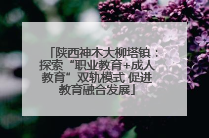陕西神木大柳塔镇：探索“职业教育+成人教育”双轨模式 促进教育融合发展