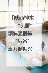 陕西神木：“头雁”领航强根基 “后备”蓄力促振兴
