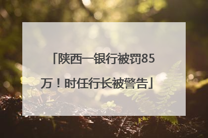 陕西一银行被罚85万！时任行长被警告