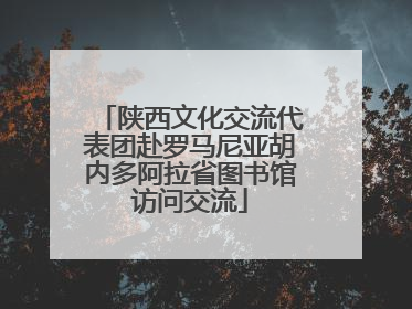 陕西文化交流代表团赴罗马尼亚胡内多阿拉省图书馆访问交流