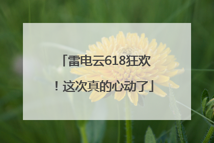 雷电云618狂欢！这次真的心动了