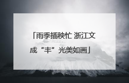 雨季插秧忙 浙江文成“丰”光美如画