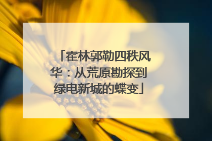 霍林郭勒四秩风华：从荒原勘探到绿电新城的蝶变