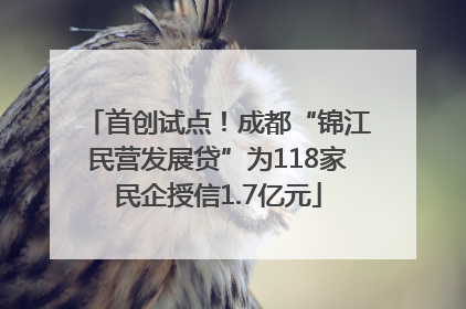 首创试点！成都“锦江民营发展贷”为118家民企授信1.7亿元