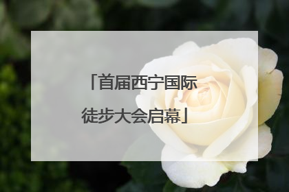 首届西宁国际徒步大会启幕