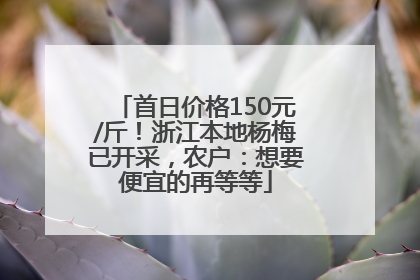 首日价格150元/斤！浙江本地杨梅已开采，农户：想要便宜的再等等