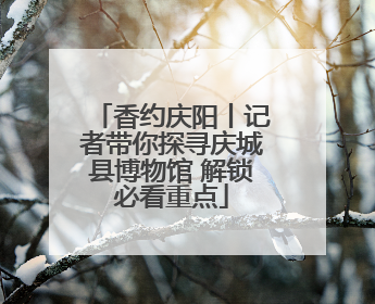 香约庆阳丨记者带你探寻庆城县博物馆 解锁必看重点