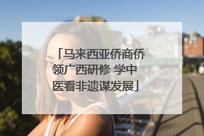 马来西亚侨商侨领广西研修 学中医看非遗谋发展